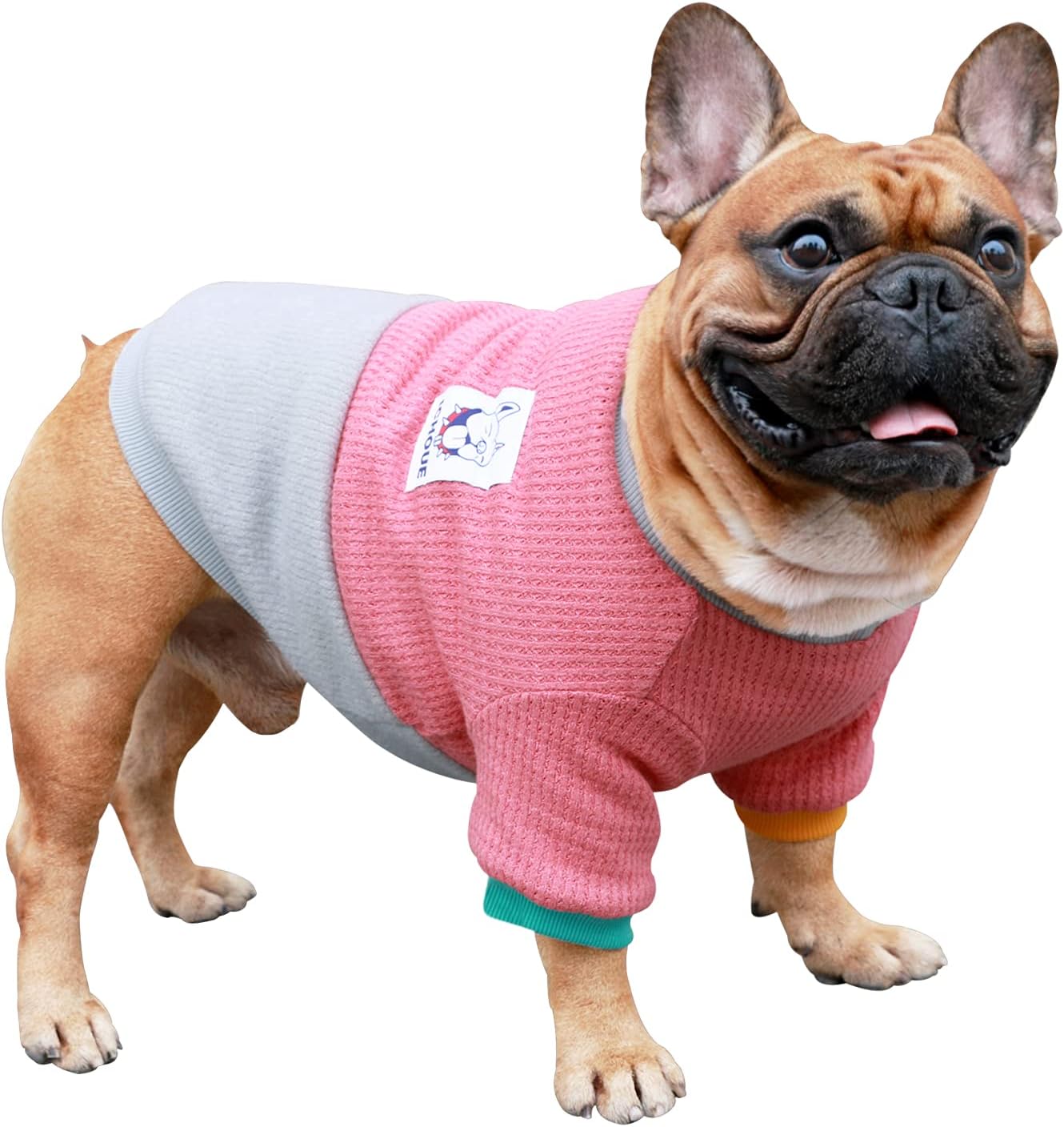 frisco dog sweater
