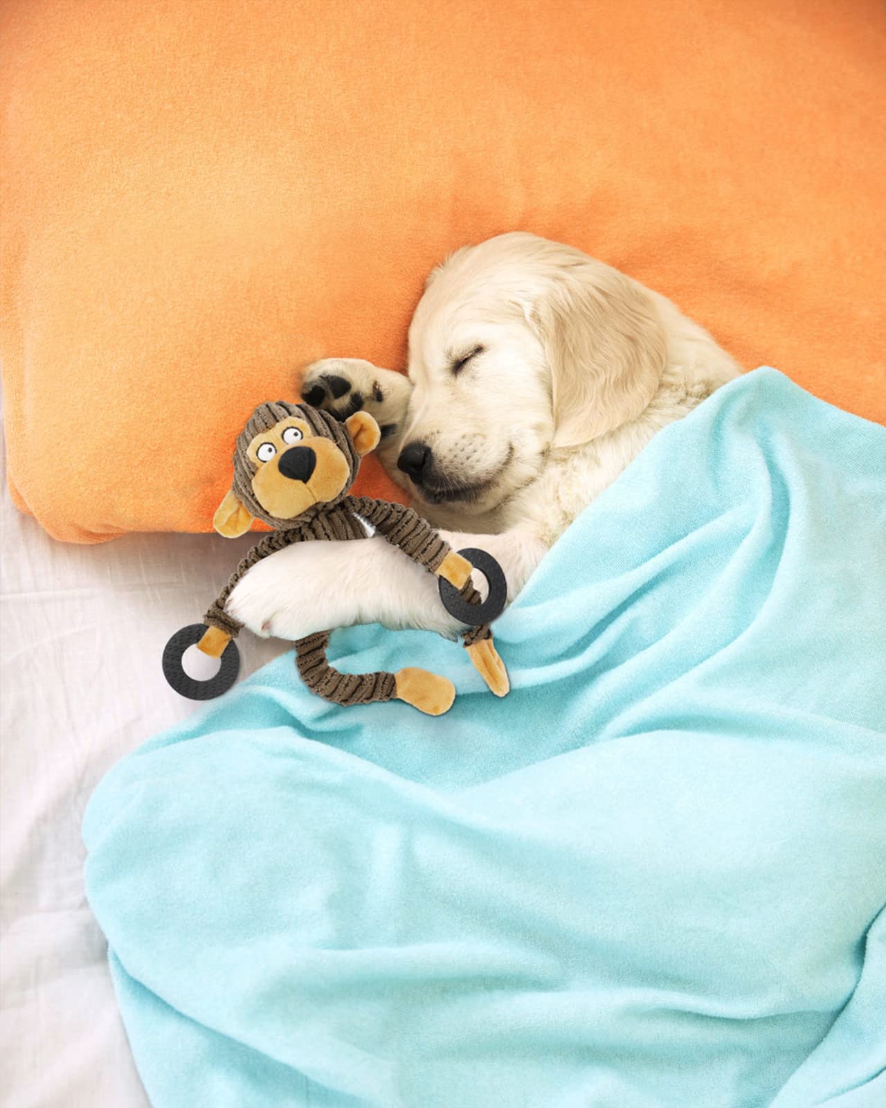 HGB Juguetes chirriantes para cachorros, juguetes masticables de peluche para dentición, juguetes para perros pequeños, juguetes para perros pequeños para razas pequeñas, lindos juguetes interactivos