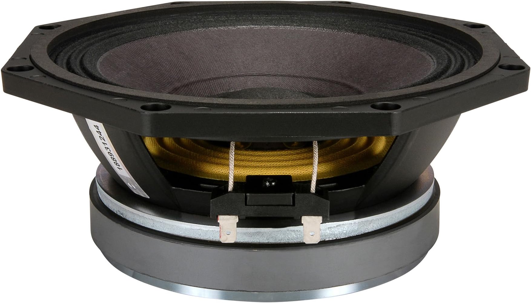 B&C 8PE21 8" Midrange Speaker