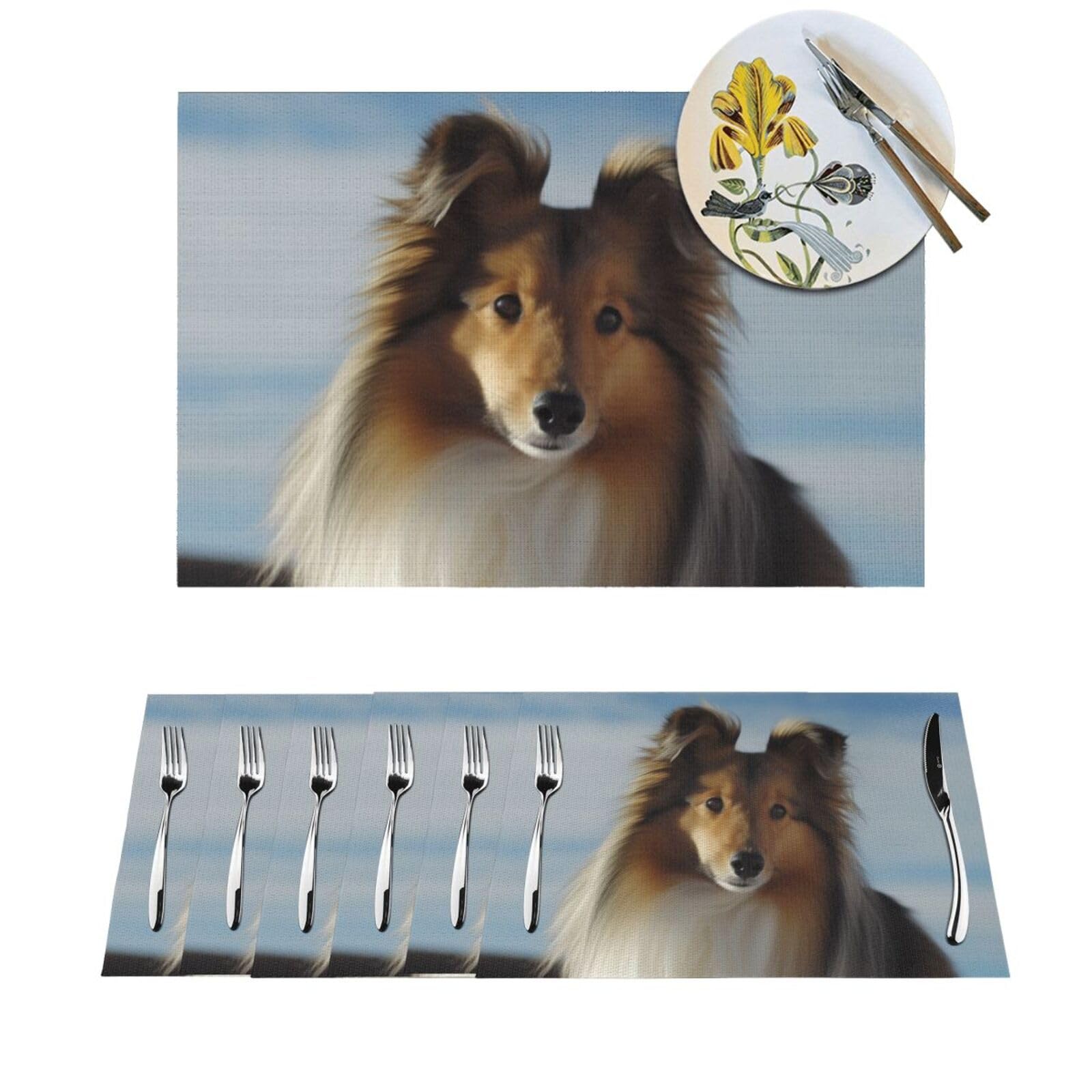 Set de table lavable anti-tache Shetland lot de 6 repas sans stress