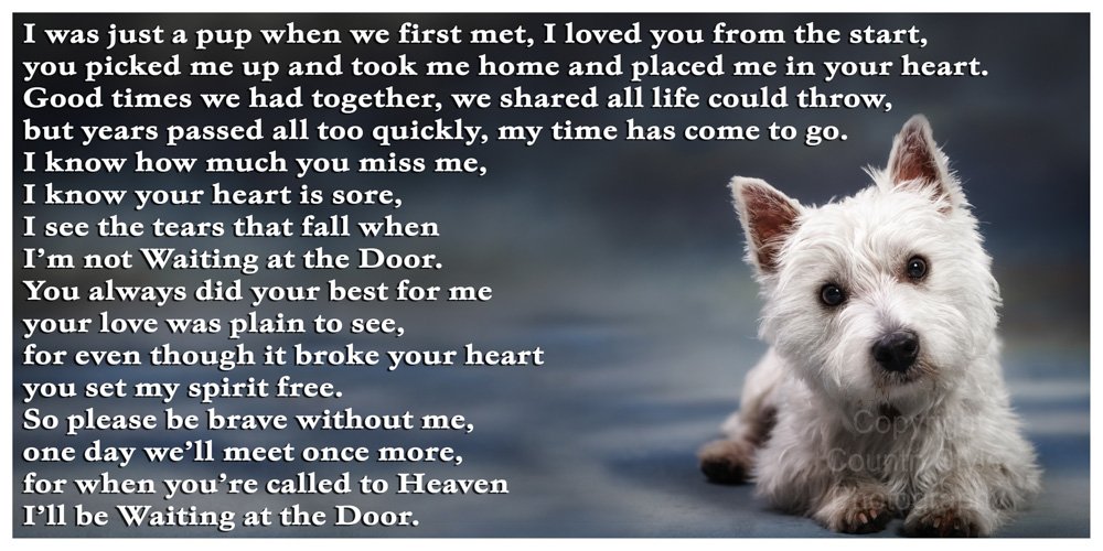 West Highland White Terrier Westie Bereavement pet Dog Loss Sympathy Memorial Flexible Fridge Magnet - Waiting at The Door