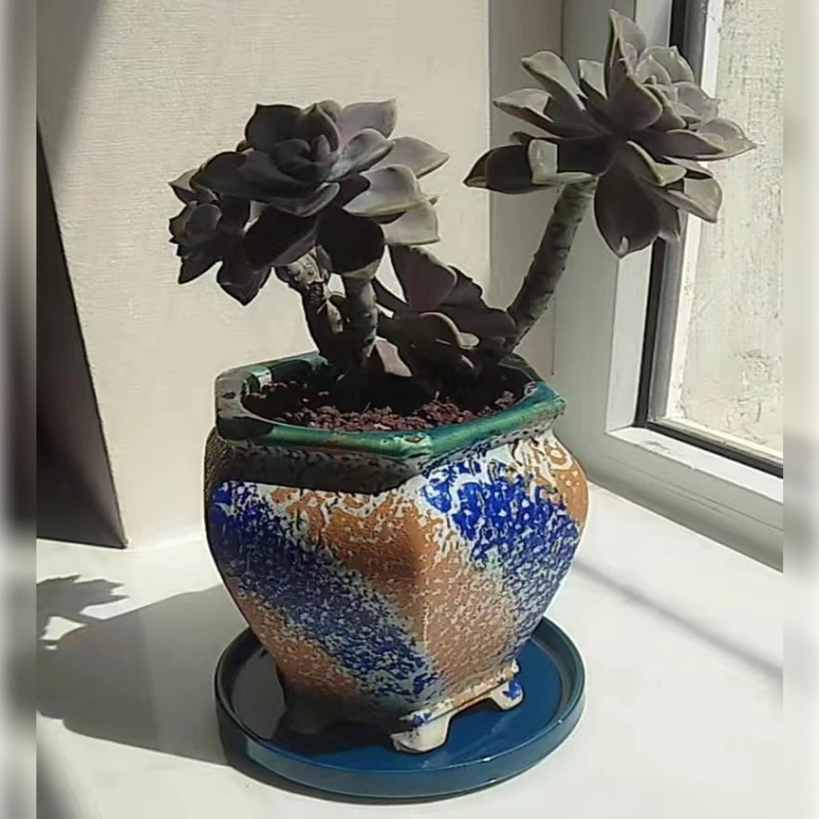 Lot De 2 Soucoupes En Céramique Bleue De 30,5 Cm, Soucoupes