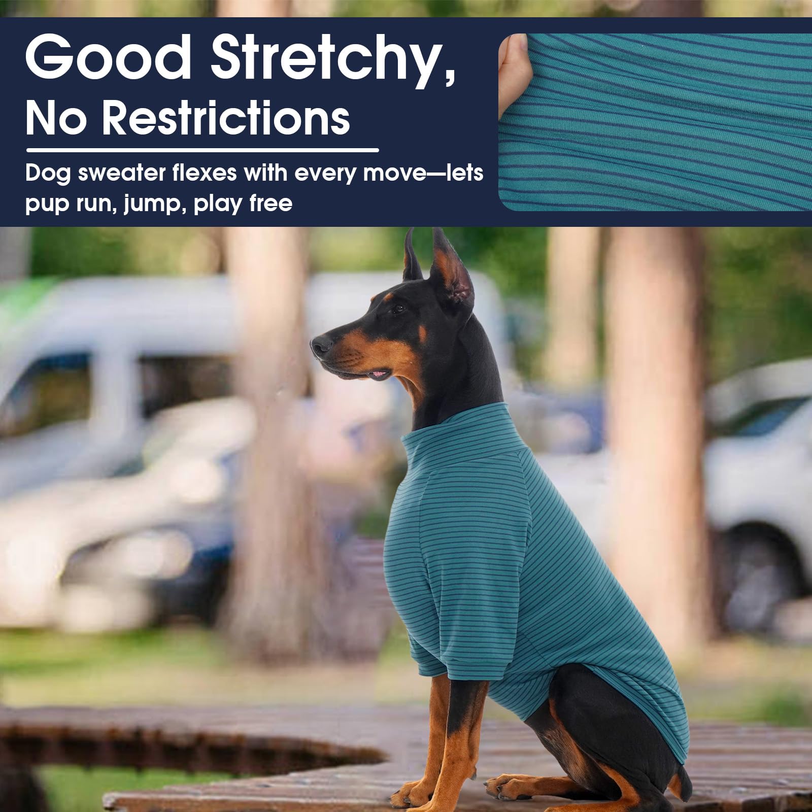IECOii Lot de 2 pulls en polaire pour chien de petite taille, chaud à col roulé avec extensible pour teckel, pull confortable pour l'automne et l'hiver – Chandail d'intérieur et d'extérieur pour la
