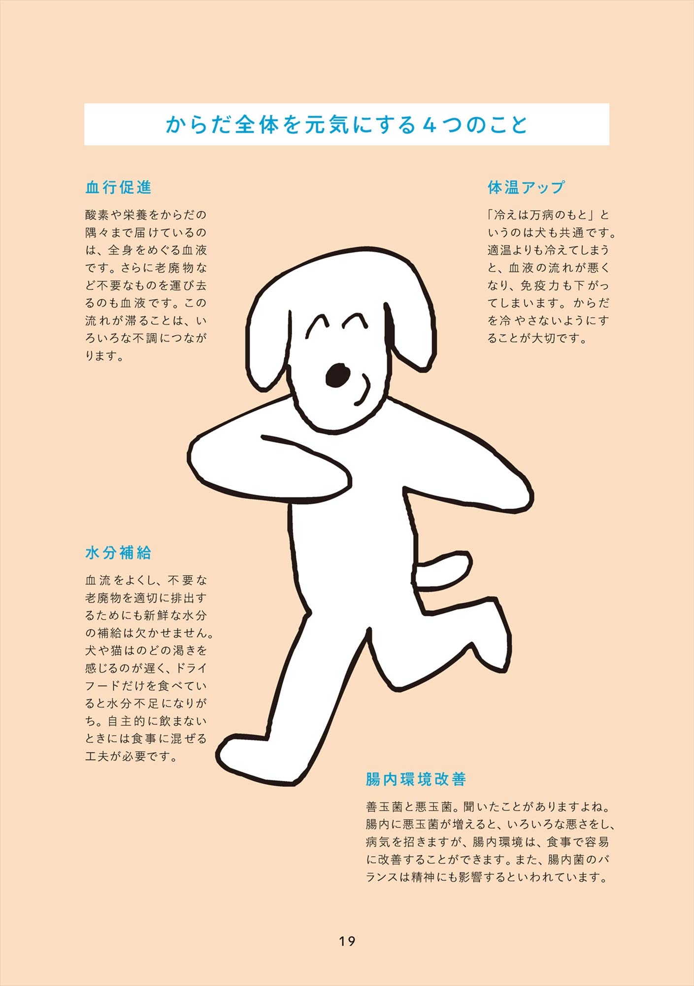 スプーン1杯からはじめる 犬の手づくり健康食 浴本 涼子 本 通販 Amazon スプーン1杯からはじめる 犬の手づくり健康食 浴本 涼子 本 通販 Amazon