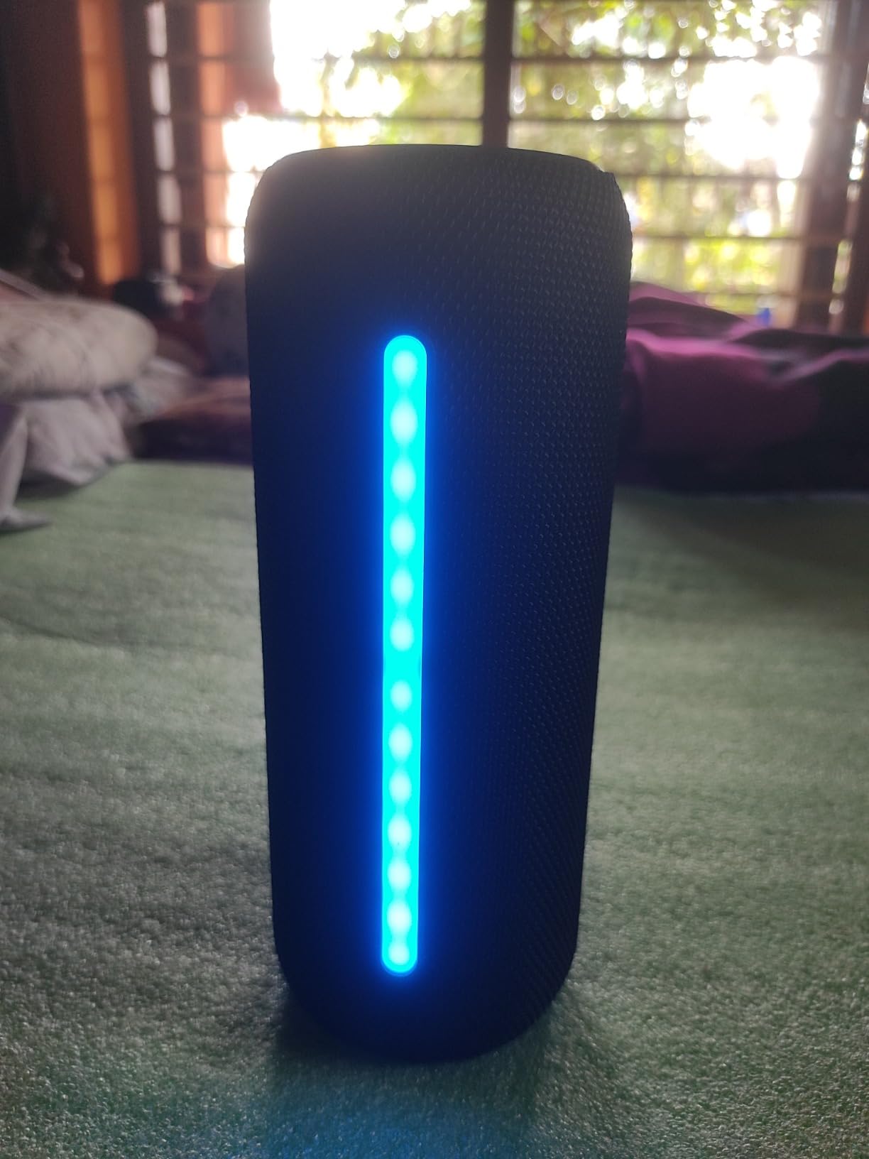 Product photo 1 from Priyankar Saha’s review