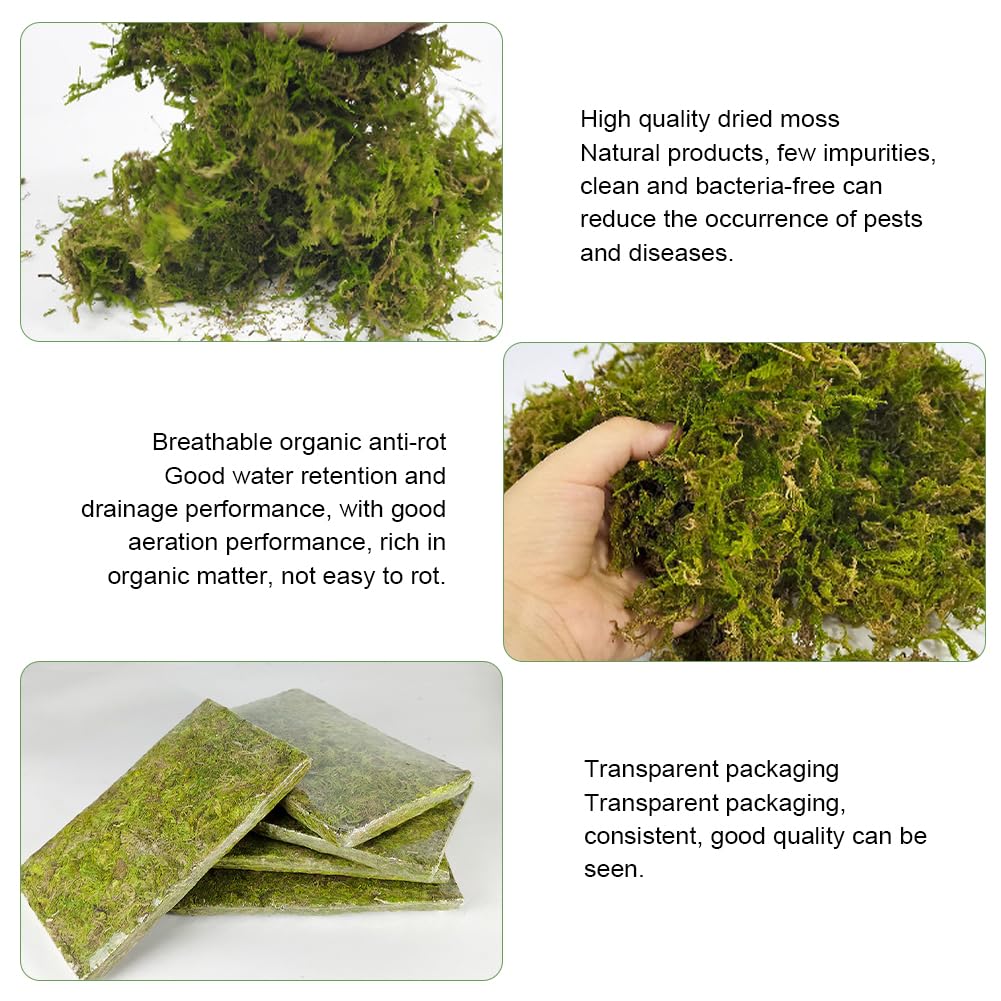 Sphaigne,Sphaigne pour Plante,Mousse De Sphaigne pour Plantes,Sphagnum Moss,Sphaigne pour Plante Intérieur,pour Plantes Carnivores Ou Orchidées
