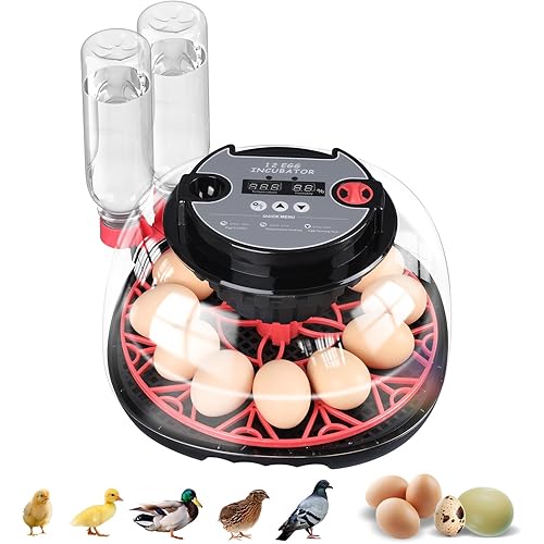 12-Egg Incubator, Automatic Egg Turning Function, Humidity Control, External Water Bottle for Watering, 360° Observation, Suitable for Chickens, Ducks, Geese, and Quails