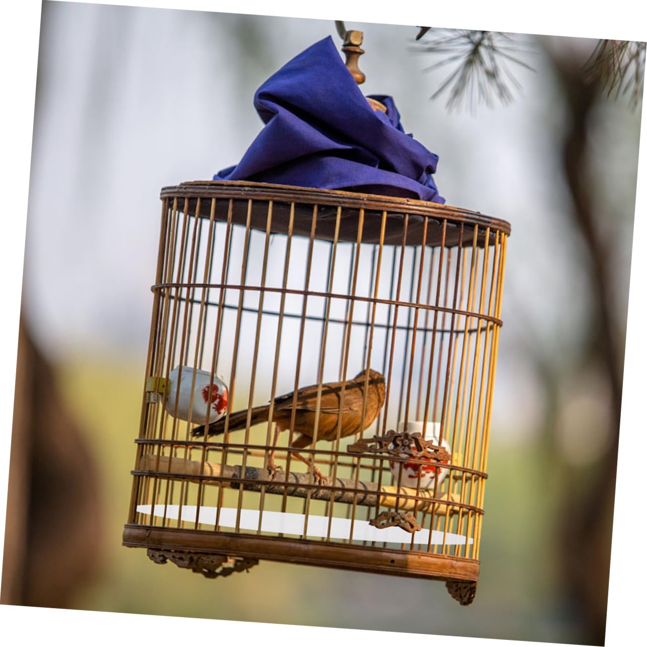 Happyyami Tappetino Monouso per Gabbia per Uccelli in Carta Spessa Assorbente, Rivestimento USA e Getta per Base Gabbia Pappagallo, Accessori per Animali Domestici Igienici