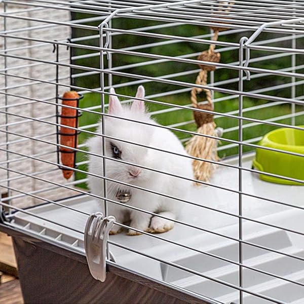 FERPLAST RABBIT 100 Rodent Cage for Rabbits, Guinea Pigs, Metal, Accessories included: Feeder, Drinker, House, Bowl. 95x57xh46cm - 4