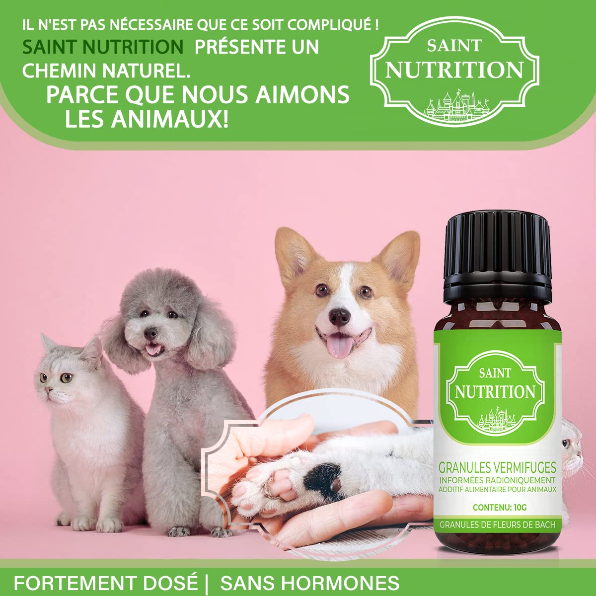 Saint Nutrition® vermifuges intestinaux Anti-vers pour Animaux – Le Vermifuge antiparasitaire pour Chiens + Chats, Alimentation Naturelle pour Chien & Chat, Contient 10 g