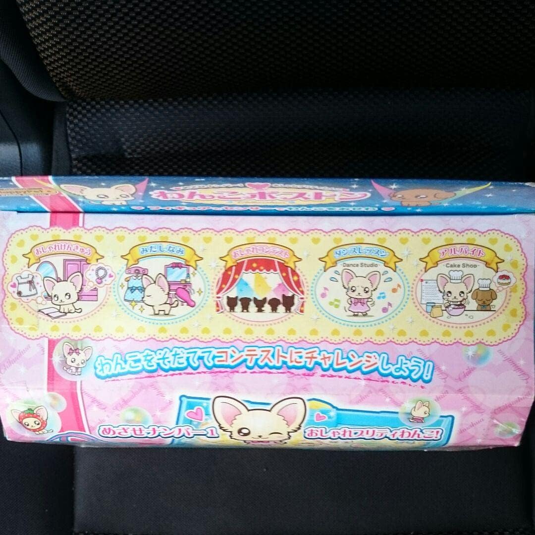 わんこボストン