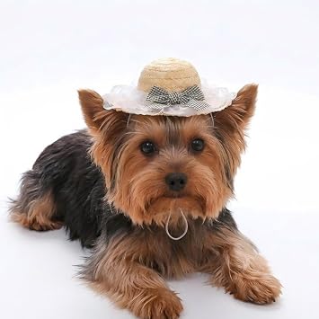 Dog and Cat Straw Hat,Cute Dog Costume,Black Bowknot Dog Summer Hat, Classic Funny Pet Accessories for Cat Puppy Small Sized Dog Birthday Gifts,Outgoing Party Photo Prop