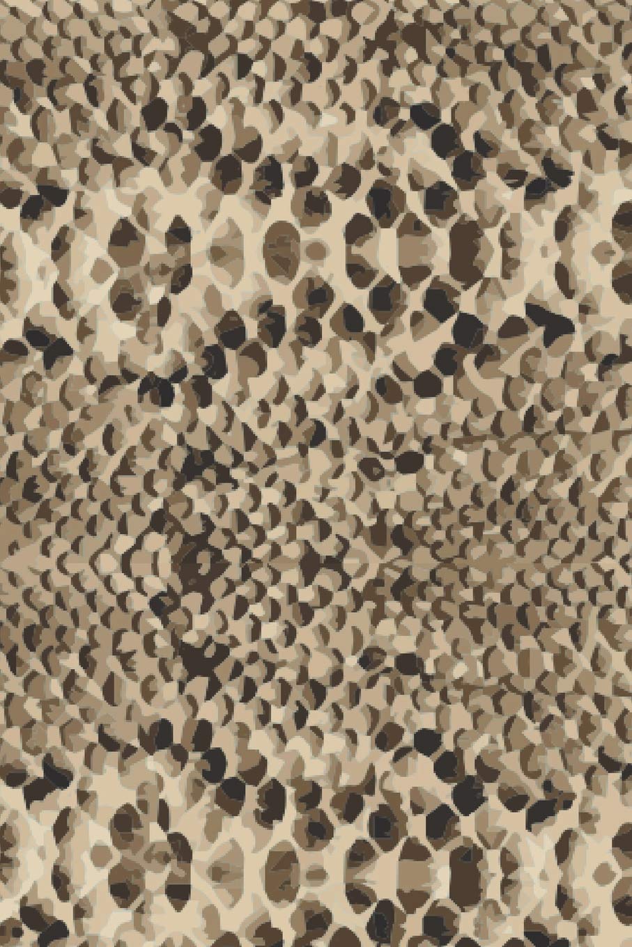 Snake Skin: Graph Paper Notebook, 6x9 Inch, 120 pages