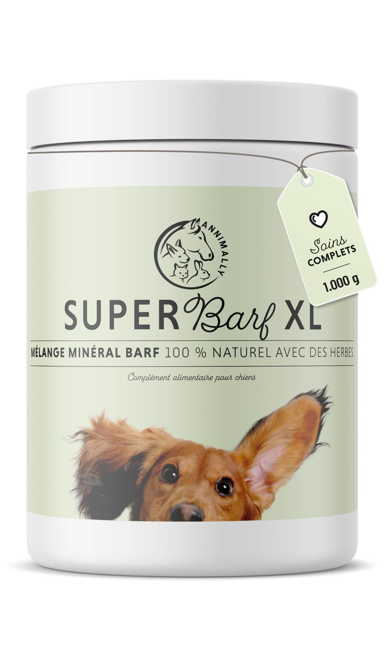 Annimally Barf Poudre Complète pour Chiens 1 kg, Mélange de Vitamines & Minéraux pour Une Nutrition optimale - Complément Alimentaire pour Chiens avec Légumes, Fruits et Vitamines