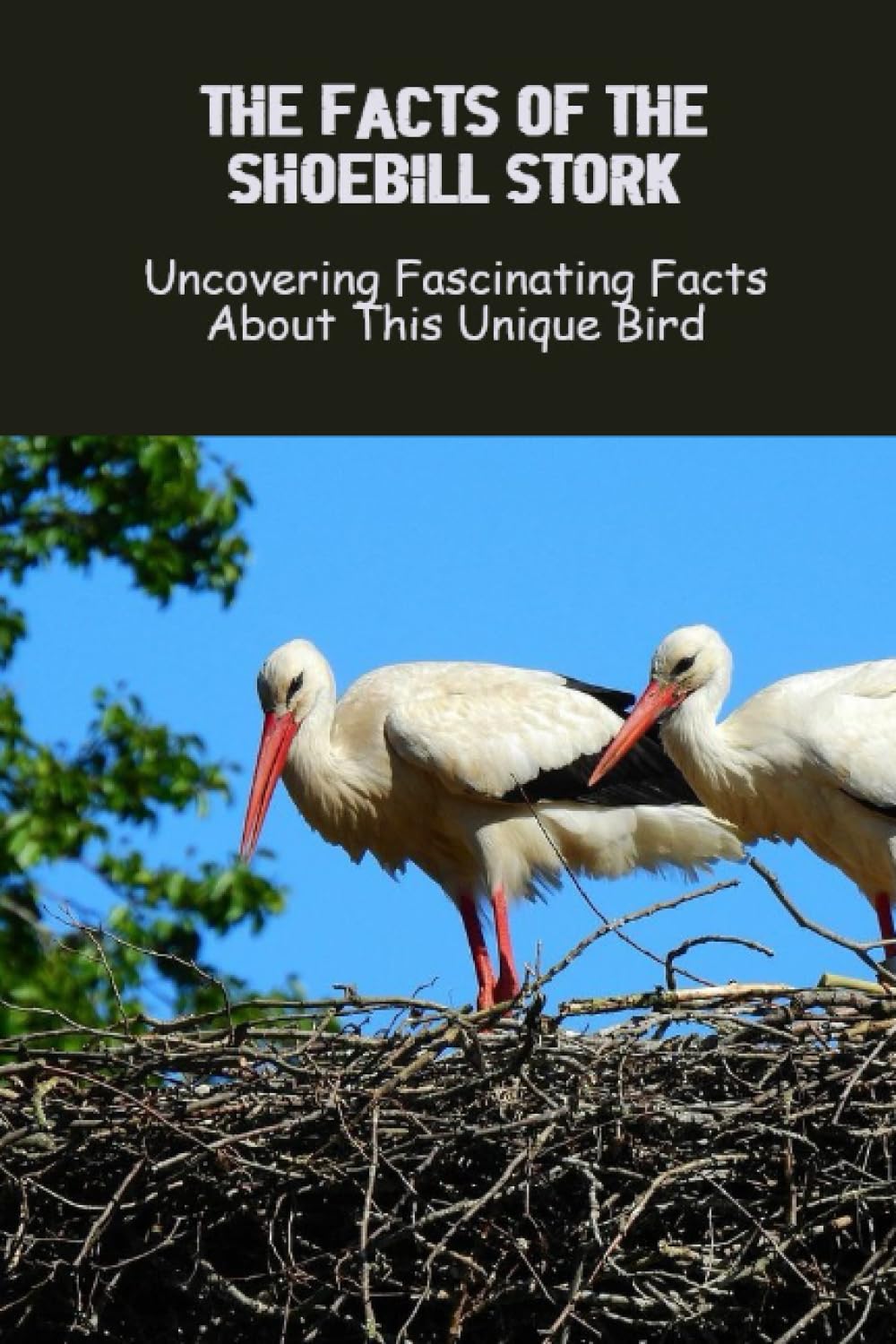 The Facts Of The Shoebill Stork: Uncovering Fascinating Facts About This Unique Bird