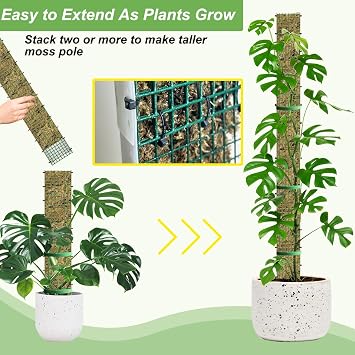 60/40/24 Metal Moss Pole, D Shape Sphagnum Moss Pole, Moss Poles for Climbing Plants, Monstera, Indoor Climbing Plants (1 Each of 60 40 24)