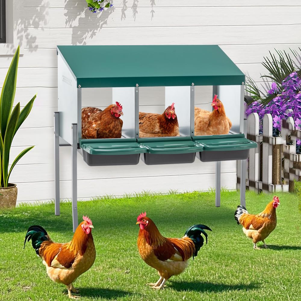 Green Chicken Nesting Box for Laying Eggs – Roll Away Poultry Nest, Durable & Easy-Clean Hen Egg Box for Coops, Secure & Comfortable (3-Hole with Legs,Green)(incomplet)(only 1 box for pickup)