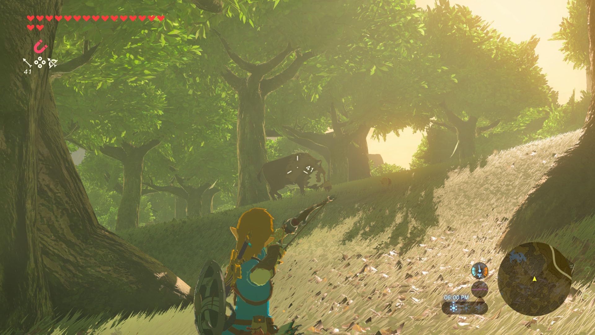 Zelda Breath of the Wild - Nintendo Switch 2 Edition
