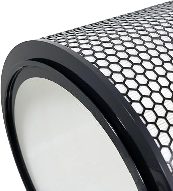 DYSON Big & Quiet Air Purifier Filter BP03 BP04 BP06 True HEPA 972132-01