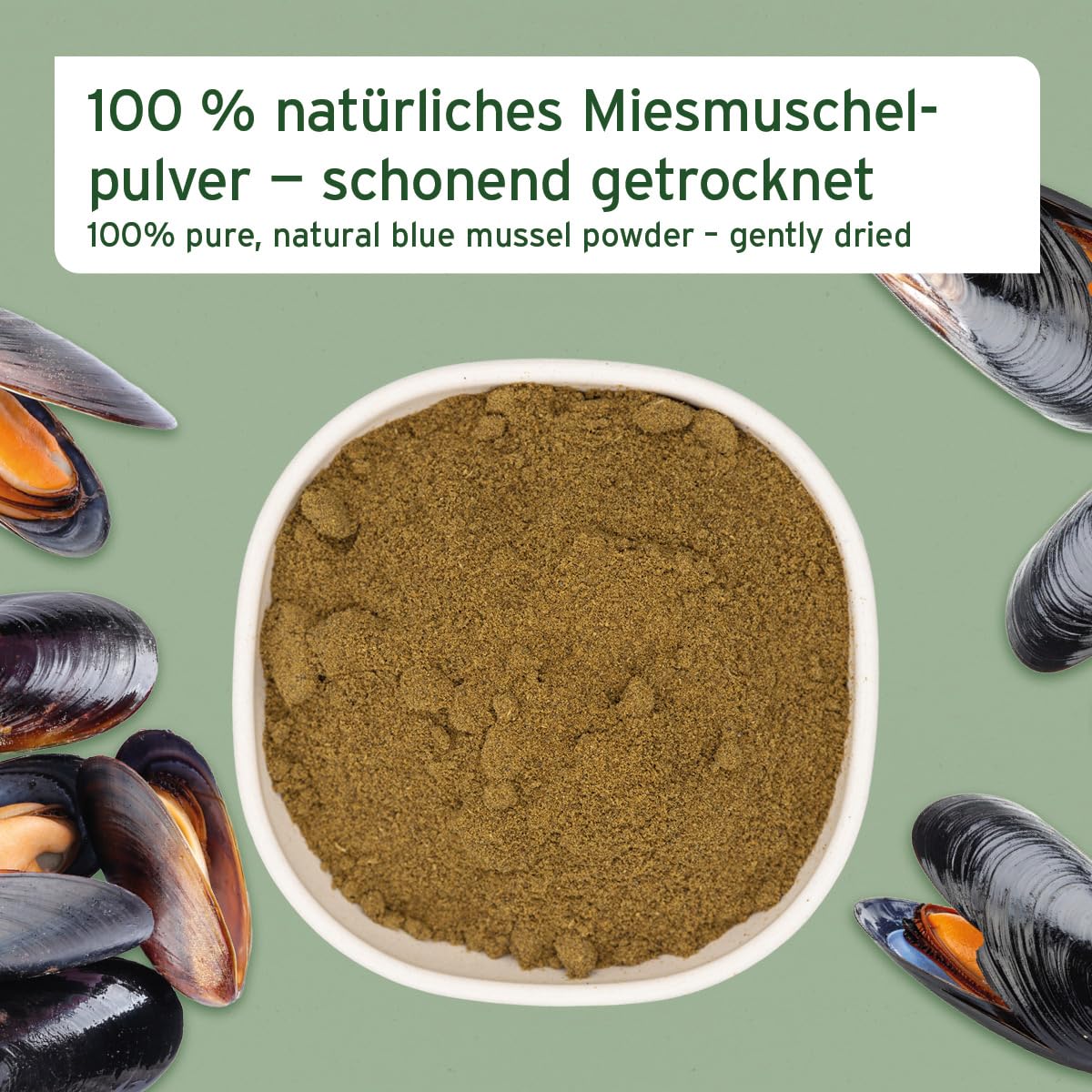 AniForte Muschelkraft für Hunde & Katzen 250 g - 100% natürliche Blaumuschelpulver mit Omega-3 & Omega-6 für Gelenke, Vitalität, Fell & Haut