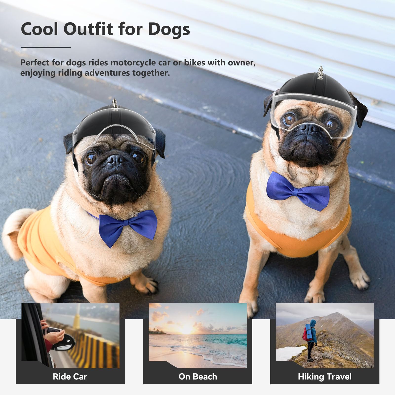 NAMSAN Motorrad Hundehelm mit Anti-UV Schutzbrille Fahrradhelm fr Kleine  Hunde mit Visier (mit Nieten) : Amazon.de: Haustier