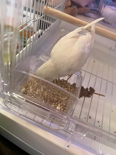 三晃商会 SANKO 鳥用 イージーホーム クリアバード35WH ホワイト