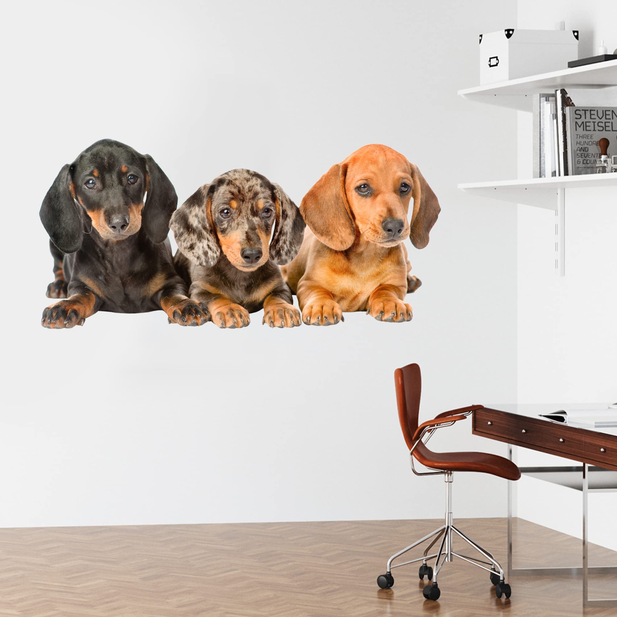 Dog Wall Sticker - 3 Dachshund Dogs Lay Down Wall Decal Animal Pet Art (60cm Width x 30cm Height)