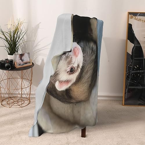 Miniatura 5 de Hcokrzt Mantas y mantas Sloth Follow Your Dreams de franela mullida de felpa para niños, niñas y mujeres, dormitorio, sofá, oficina, sofá de 60 x 50