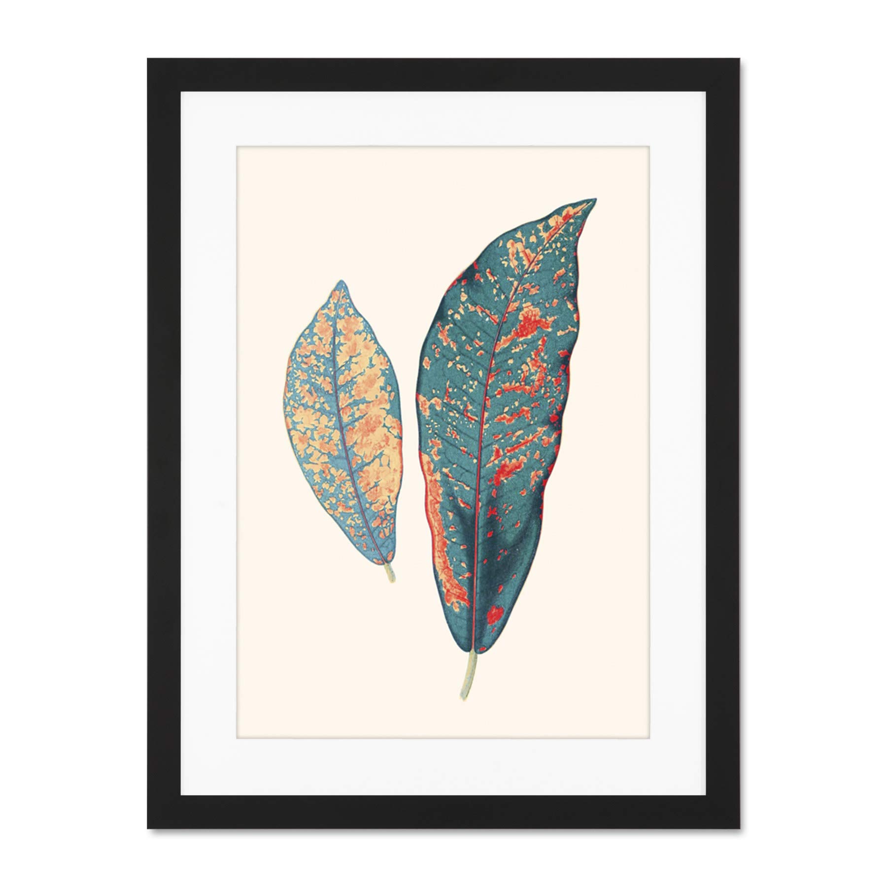Wee Blue Coo Primary Coloured Exotic Leaves Large Black Framed Art Print Wall Poster 18x24 inch