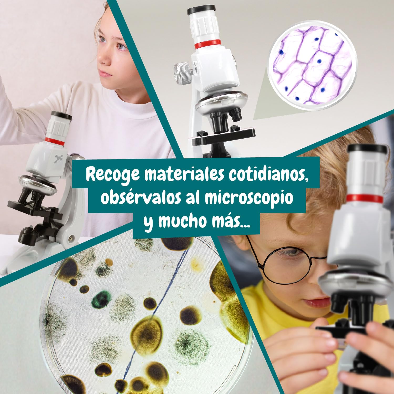 Science4you Microscopio Lab: Microscopio para Niños + Libro de Experimentos + 11 Herramientas de Laboratório, Juguete y Regalo para Niños 6 7 8 9 10 11 12+