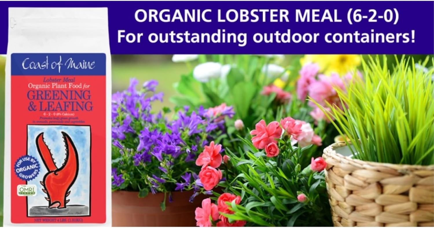 Coast of Maine Lobster Meal (4lb) Organic Plant Food and Calcium, OMRI Listed - for Green Leafy Growth