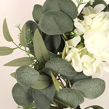 Amazon.co.jp: SAEYZ リース ドアリース ユーカリリース ガーランド