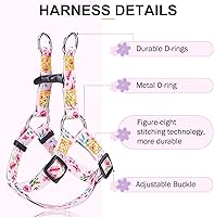 Vista 46 de BEAUTYZOO No Pull Dog Harness and Leash Set - Adjustable Step-in Puppy Harness for Small Medium Large Dogs, Escape Proof Soft Nylon Vest with Double