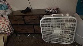 Review Image by Terry Terry