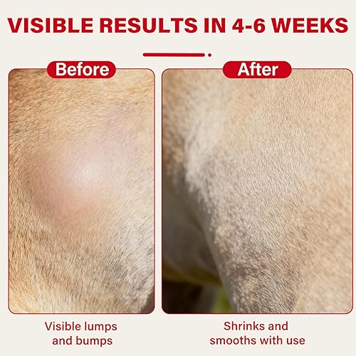 Miniatura 5 de DMSO - Lipoma para perros, protege al perro lejos de bultos y protuberancias, reduce la inflamación y la hinchazón, suaviza los bultos grasos y los