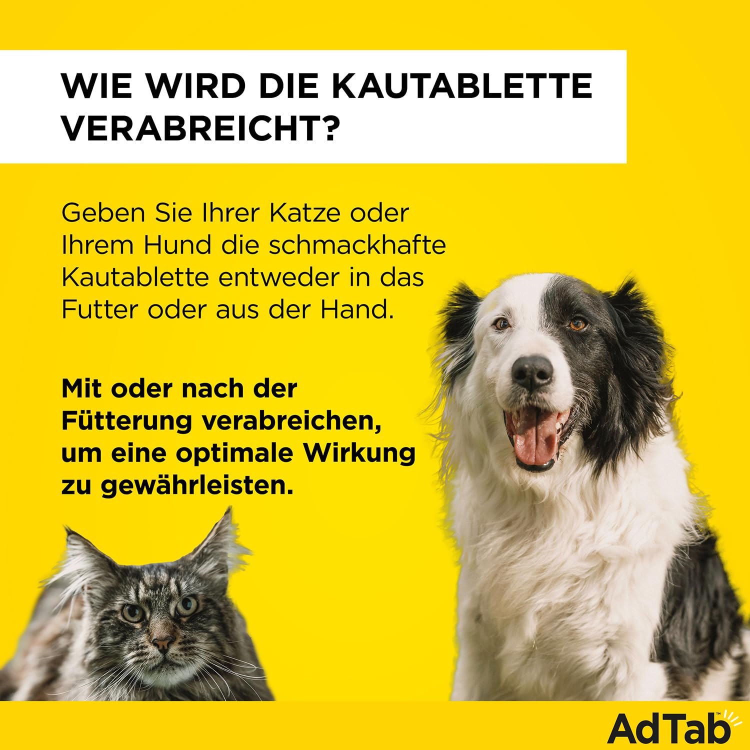 AdTab Kombi-Set: Zecken- & Flohschutz für eine Katze mit >2-8 kg und einen Hund mit >5,5-11, 2 Packungen mit je 3 Kautabletten, einfach zu verabreichen & schmackhaft