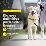 Ver la foto 2