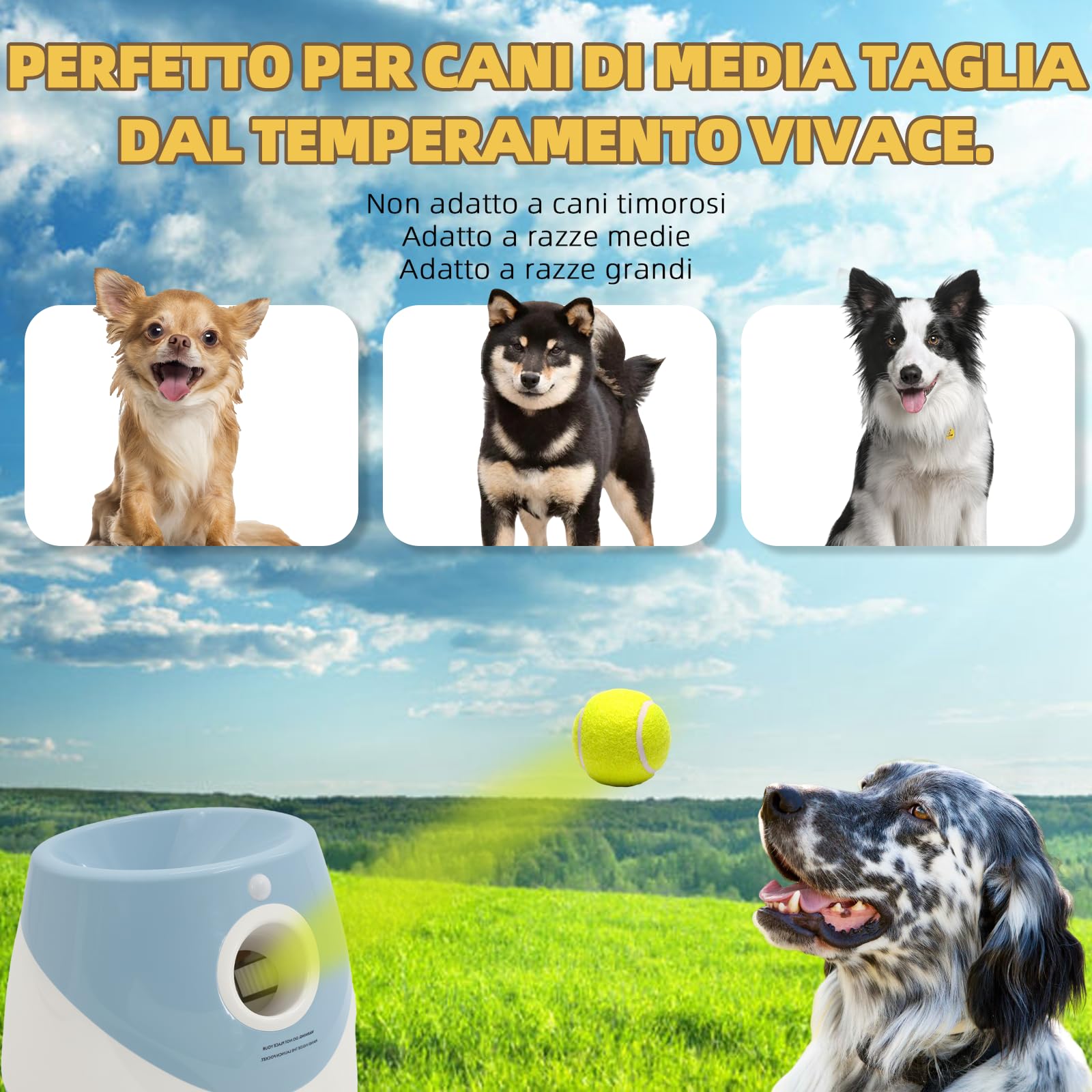 Gettatrice per cani con 6 palline da tennis, giocattolo elettrico interattivo per cani di piccola taglia, per interni ed esterni