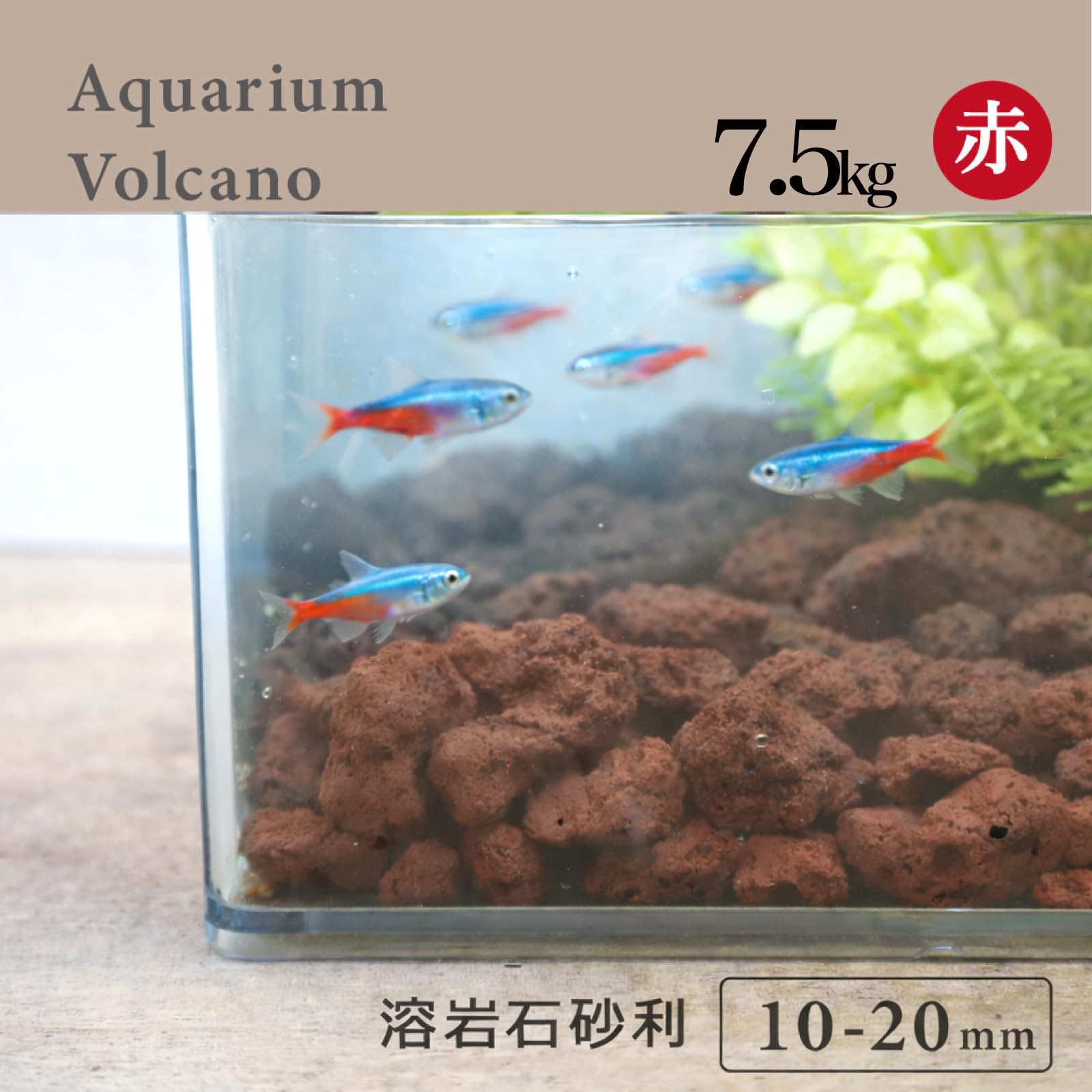 Amazon | 溶岩石砂利 赤 水槽用 10-20mm 7.5kg|大型水槽・睡蓮鉢に最適