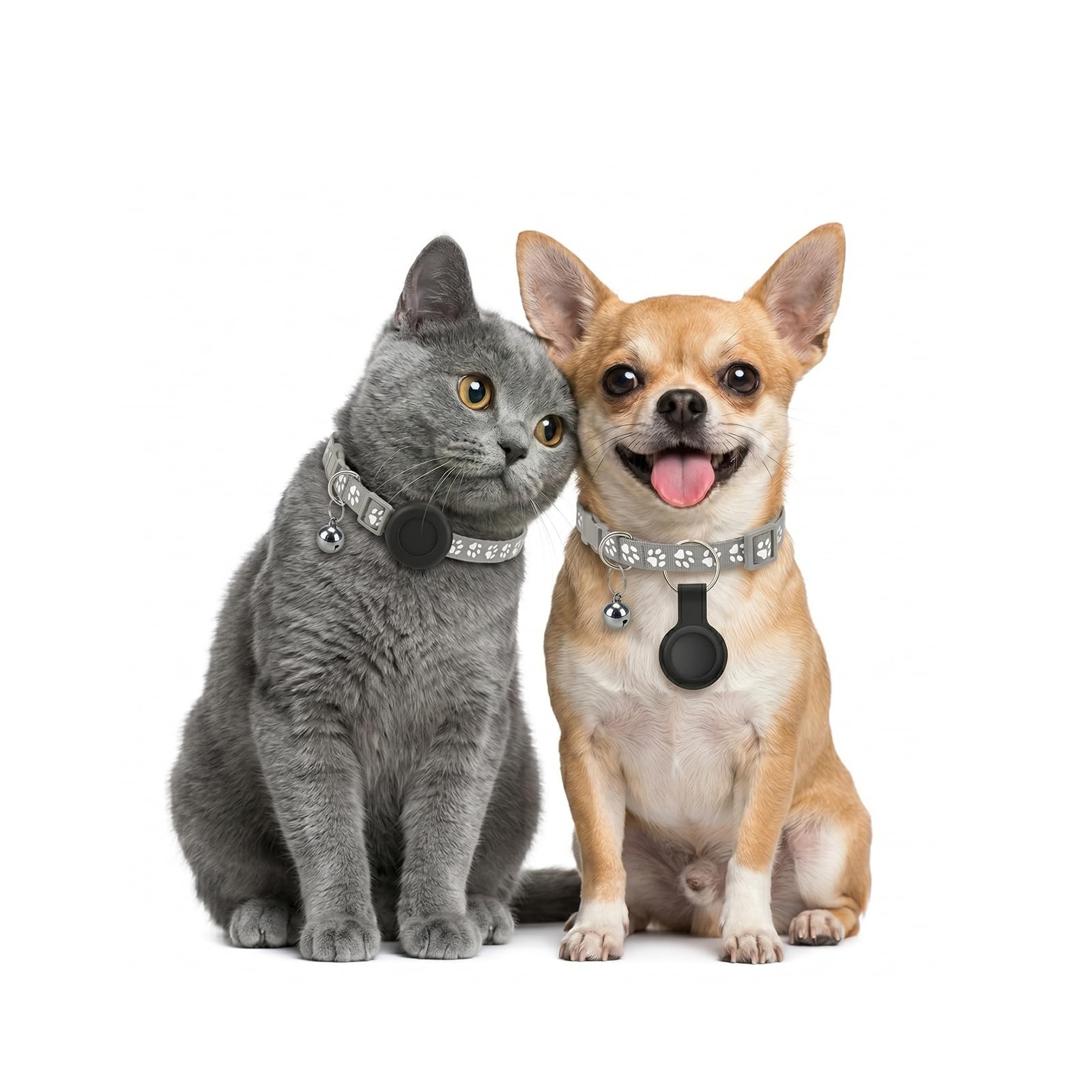 GPS Gatos, Localizador GPS Perros, Posicionamiento Global en Tiempo Real, GPS Perros/Gatos Compatible con Sistemas iOS y Android, Sin Suscripción, Collar Ajustable, Resistente al Agua IPX6 - Gris