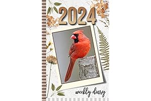 2024 Bird Watching Journal Log Book: A Guide to Bird Watching Observations