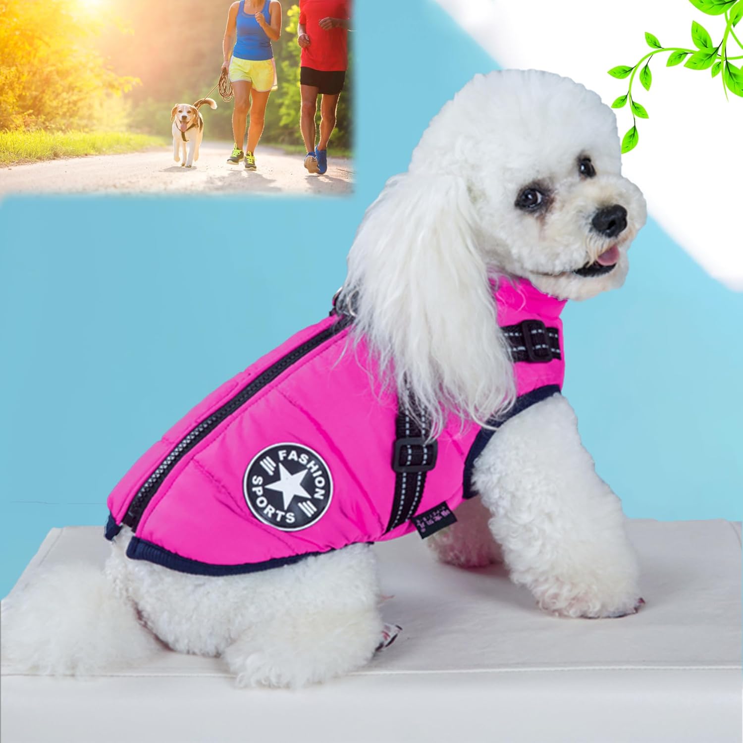2024 New Pawbibi Sport Waterproof Winter Jacket with