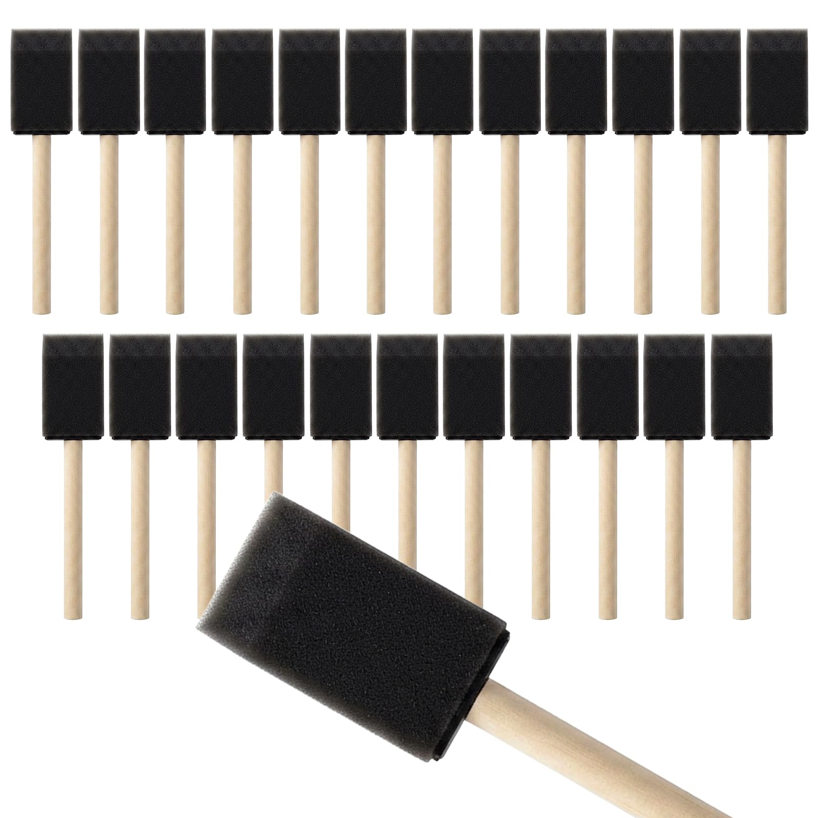 Mister Rui 1.5" Sponge Brushes 24 Pk – Bulk Foam Applicators for Classrooms