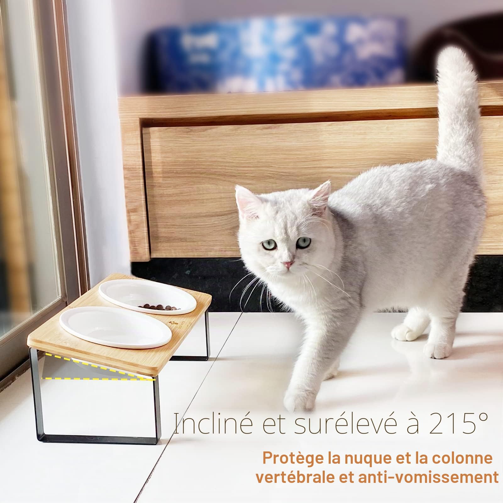 GUUSII HOME Gamelle Chat Surélevée Anti Vomissement 15° Incliné avec 2 Bols Céramique 14cm