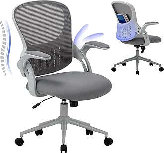 COLAMY Office Chair with Padded 90° Flip-up Armrest, Lumbar Support, Height Adjustable Ergonomic Desk Chair, Executive Swivel Rolling Computer Chair, Comfy Seat Cushion for Home/Office, Grey
