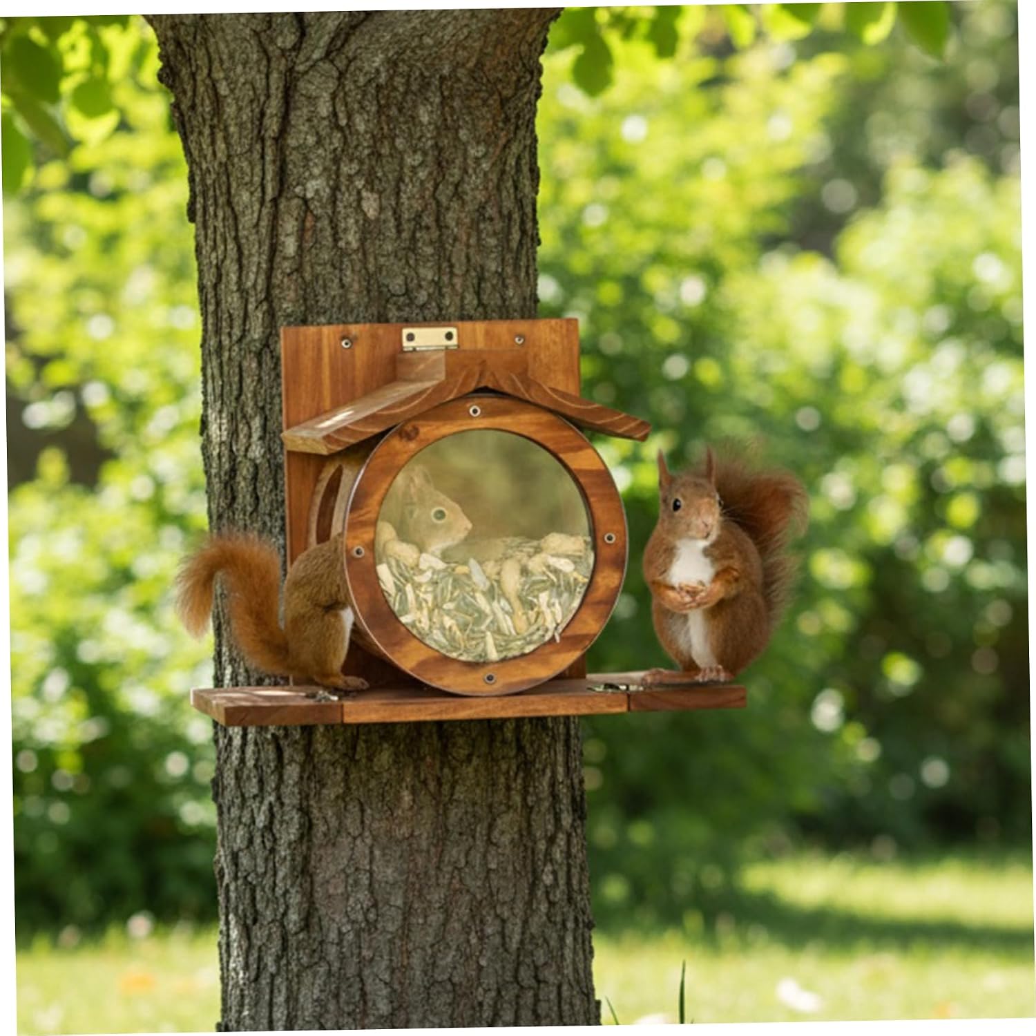 Squirrels Feeders for Outside, Wall-Mounted Wooden Squirrels Feeder with Visible Front, Easy to Fill Feeding Station House Box for Tree Fence