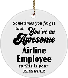 Airline Employee Ornament Gifts - You're an Awesome Friend Coworker Office Xmas Party Christmas Tree Hanging Happy New Year - Round-Shaped Ceramic Circle 3-inch
