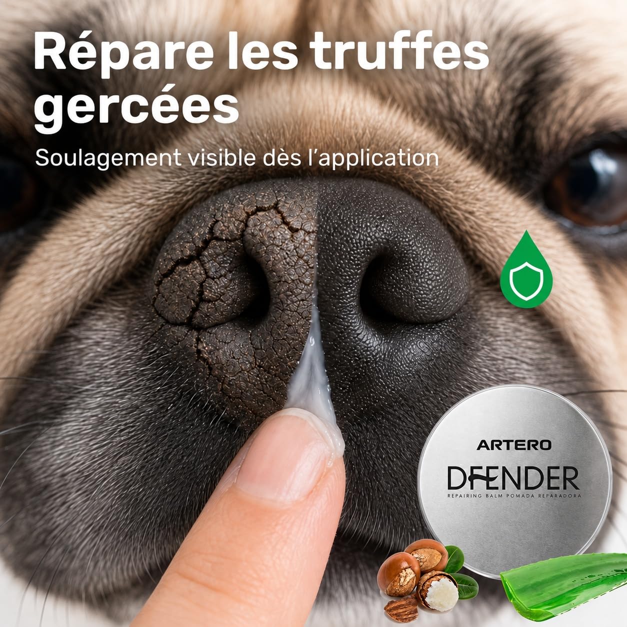 Artero Défendre la solution aux plantaires endommagés et aux nez fissurés chez les chiens