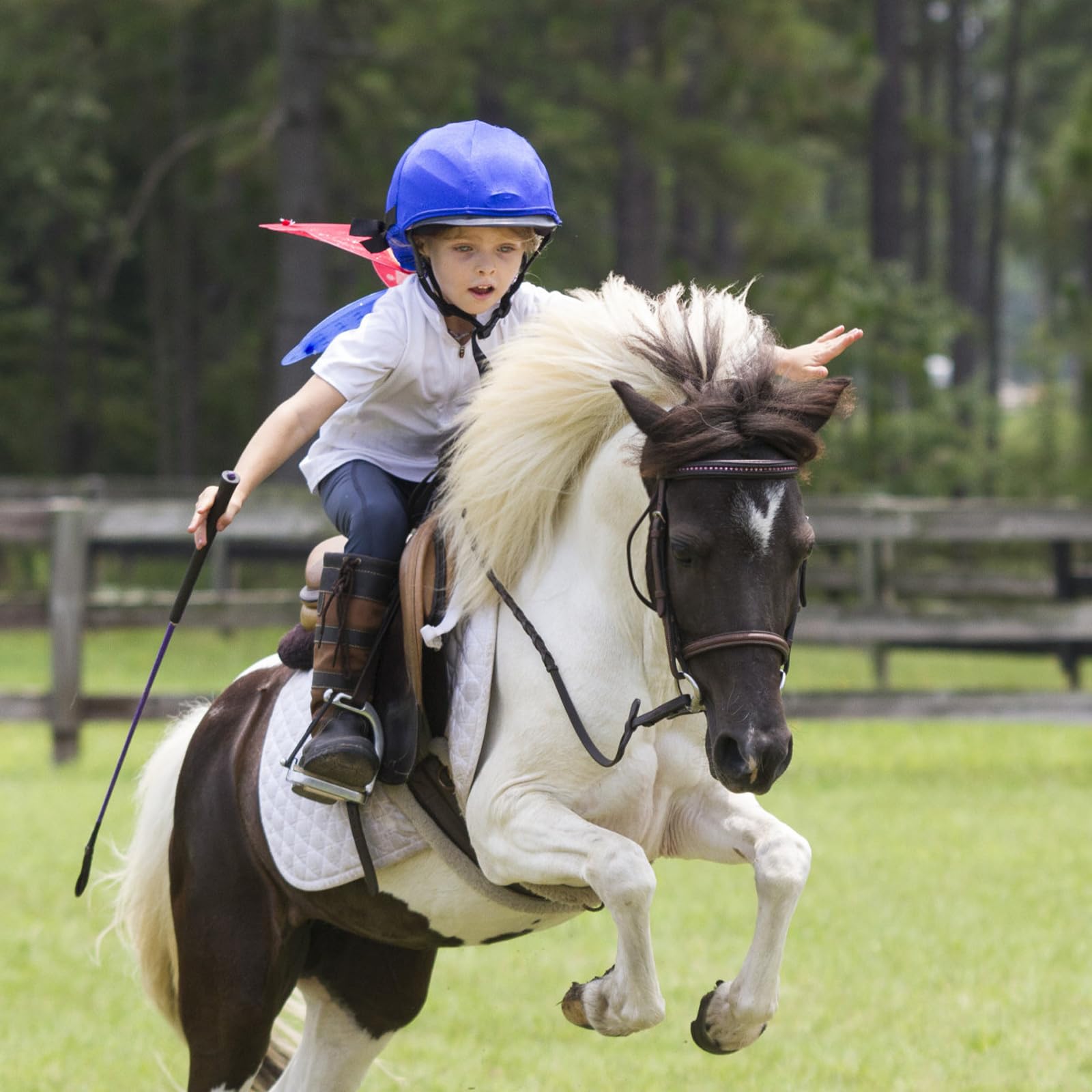 Frustino Equitazione 45 cm, Frusta da Equitazione in Nero, Leggero e Confortevole per L'Allenamento Quotidiano e Salto del Cavallo