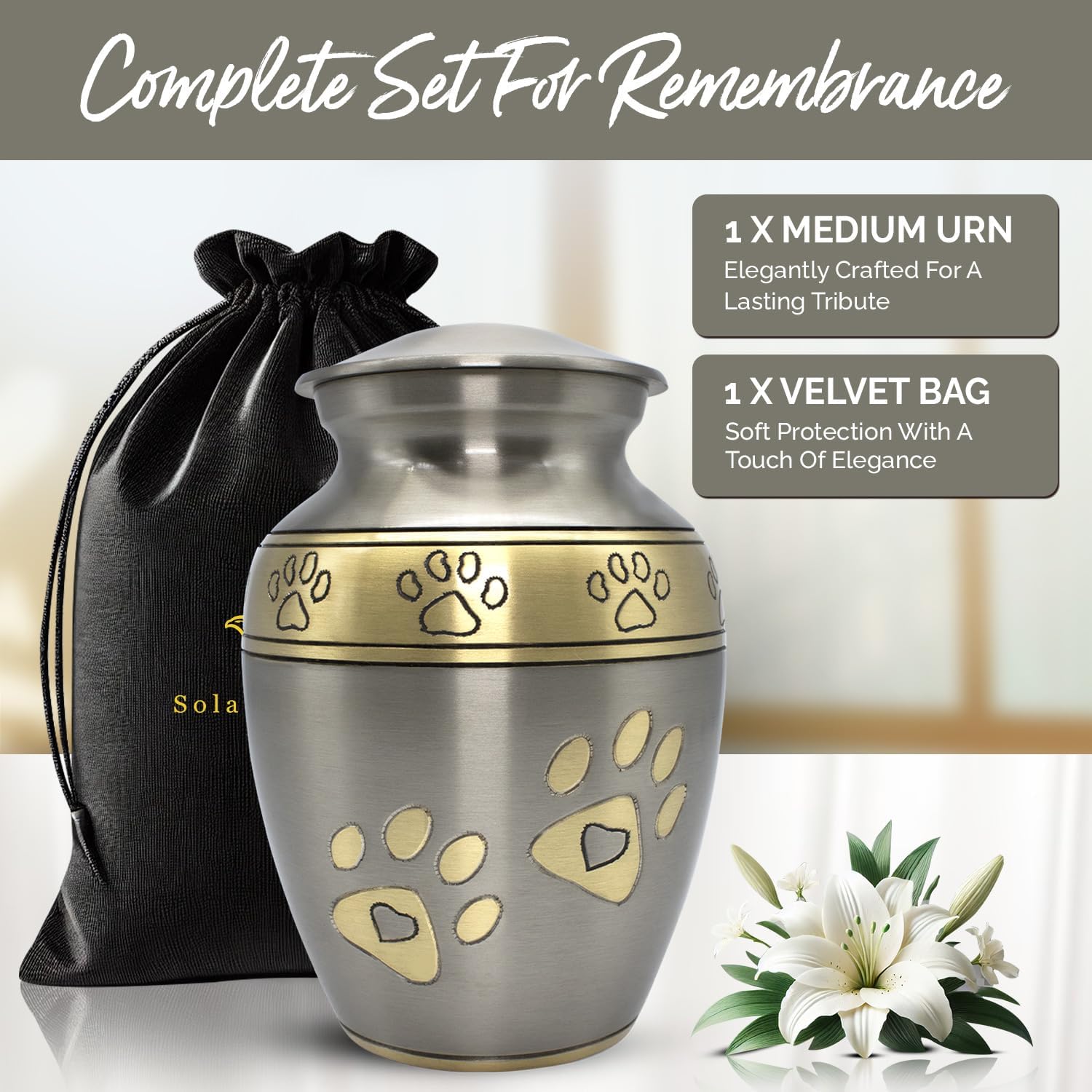 Pet Ashes Urn - Cremation Urn for Dogs & Cats – Paw Print Memorial Urn - Holds Cremated Remains of Pets Up to 42 lbs - Elegant Design to Honor Your Furry Friend (Silver, Medium) - Image 2